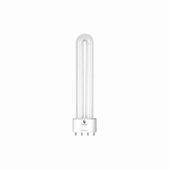 Ampoules pour Lampe de luminothérapie Beurer