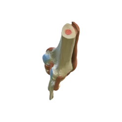Articulation du genou - modèle fonctionnel de luxe 3B Smart Anatomy
