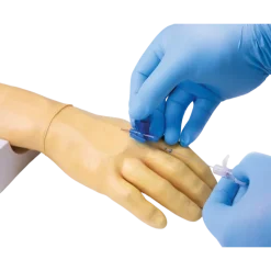 Bras d'entraînement pour injection intraveineuse et perfusion Erler Zimmer