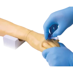 Bras d'entraînement pour injection intraveineuse et perfusion Erler Zimmer