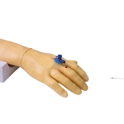 Bras d'entraînement pour injection intraveineuse et perfusion Erler Zimmer