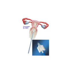 Brosse Cervex Brush pour prélèvement cervico-vaginal (Boîte de 50)