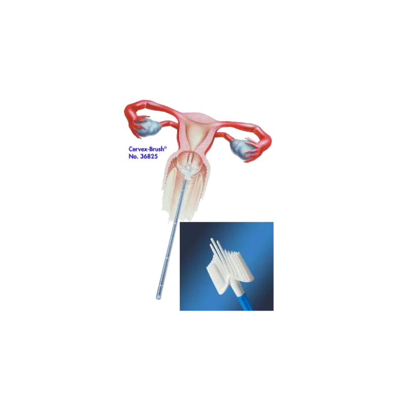Brosse Cervex Brush pour prélèvement cervico-vaginal (Boîte de 50)