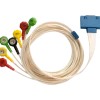 Câble patient 7 brins pour Holter ECG Cardioline Walk400h et Clickholter NG