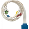 Câble patient 10 brins pour Holter ECG Cardioline Walk400h