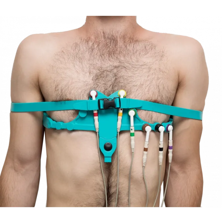 Ceinture d'électrodes ECG Levmed universelle à sangles (AllBrand)
