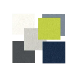 Coloris de sellerie en supplément pour mobilier Ecopostural