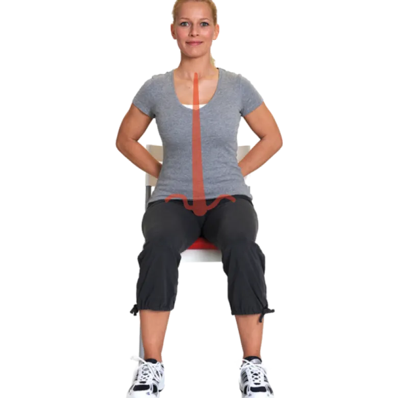 Coussin ballon pour coccyx Sissel Sitfit+