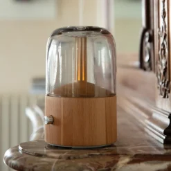 Diffuseur d’huiles essentielles en bois Lanaform Davy Mist