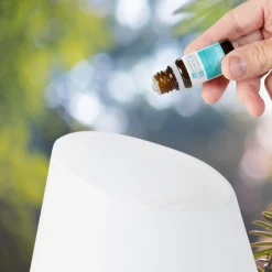 Diffuseur d'huiles essentielles Lanaform Borneo