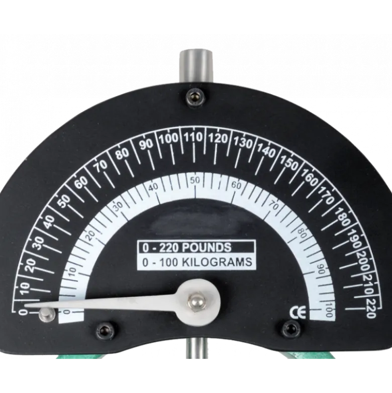 Dynamomètre de main Smedley Gima