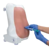 Entraîneur pour injection épidurale et spinale 3B Scientific