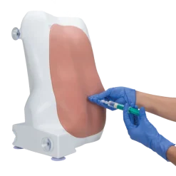 Entraîneur pour injection épidurale et spinale 3B Scientific