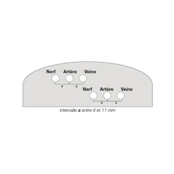 Fantôme d'entraînement NAV Gphantom - 2 veines, 2 artères, 2 nerfs