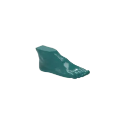 Fantôme de pied pour tomodensitométrie radiographie et radiothérapie Erler Zimmer