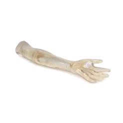 Fantôme radiographique avant-bras Erler Zimmer