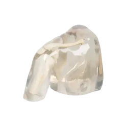 Fantôme radiographique de l'épaule Erler Zimmer