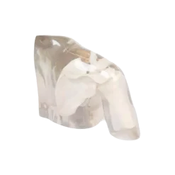 Fantôme radiographique de l'épaule Erler Zimmer