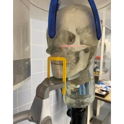Fantôme radiographique de tête avec vertèbres cervicales Erler Zimmer