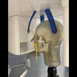 Fantôme radiographique de tête avec vertèbres cervicales Erler Zimmer