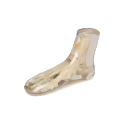 Fantôme radiographique du pied Erler Zimmer