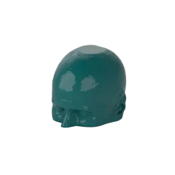 Fantôme tête et cou pour tomodensitométrie radiographie et radiothérapie Erler Zimmer