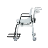 Fauteuil de pesée sans fil Seca 959 - 360° wireless - Classe III
