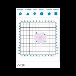 Grilles radio-opaque pour échantillon mammaire (boite de 5)