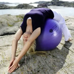 Gymball Sissel Securemax - 65 cm