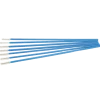 Gynobrosse souple non stérile (boîte de 50)