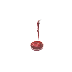 Kit de formation lacération True Clot