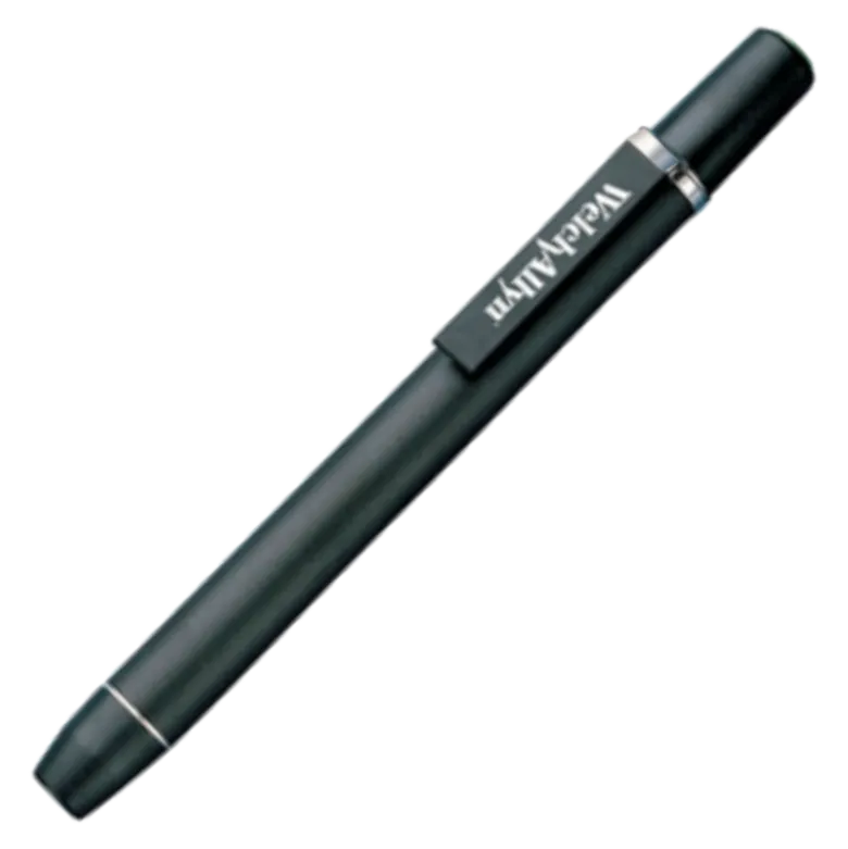 Lampe stylo professionnelle Welch Allyn PenLite (à ampoule)