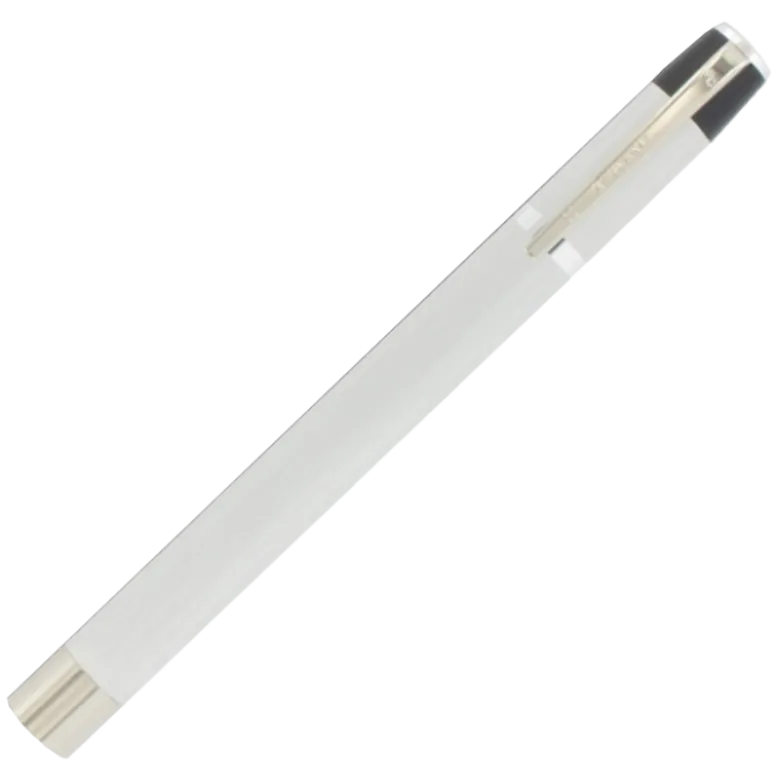 Lampe stylo professionnelle Argenta (à ampoule)