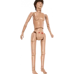 Mannequin complet pour enseignement des soins Life/form Keri
