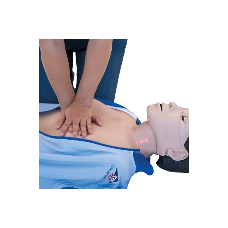 Mannequin de réanimation cardio-pulmonaire 3B Scientific Lilly PRO +