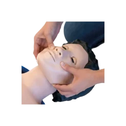 Mannequin de réanimation cardio-pulmonaire 3B Scientific Lilly PRO +