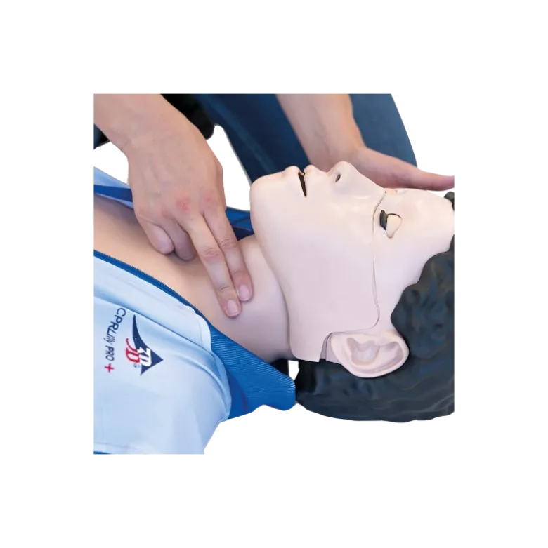 Mannequin de réanimation cardio-pulmonaire 3B Scientific Lilly PRO +