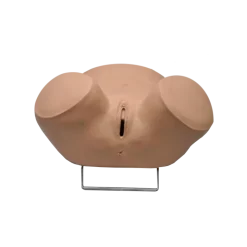 Mannequin de simulation pour gynécologie ZOE® S504.100
