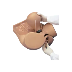 Mannequin de simulation pour gynécologie ZOE® S504.100