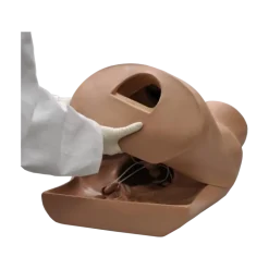 Mannequin de simulation pour gynécologie ZOE® S504.100