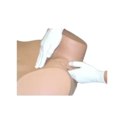 Mannequin de simulation pour gynécologie ZOE® S504.100