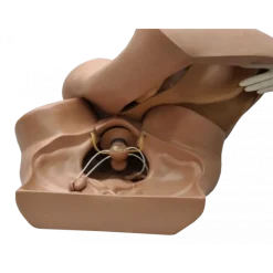 Mannequin de simulation pour gynécologie ZOE® S504.100