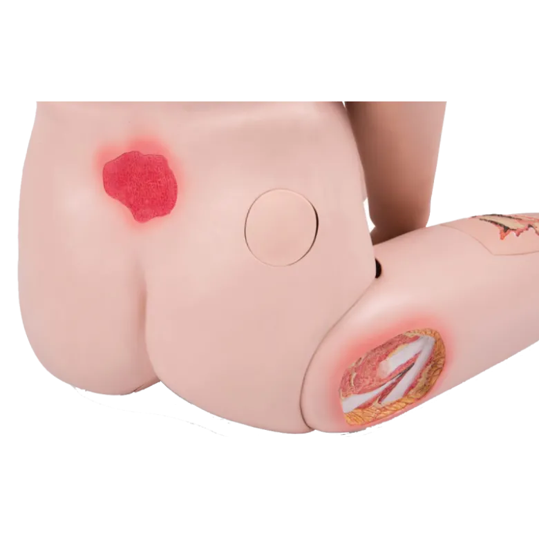 Mannequin de soins 3B Scientific II P11/1