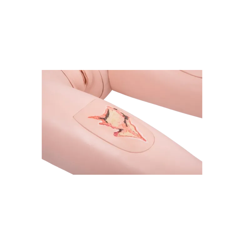 Mannequin de soins 3B Scientific II P11/1
