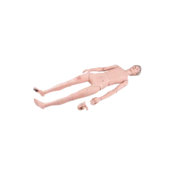 Mannequin de soins 3B Scientific II P11/1