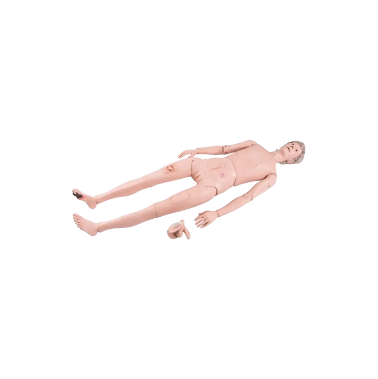 Mannequin de soins 3B Scientific II P11/1