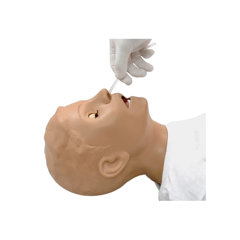 Mannequin pour enseignement des soins pédiatriques S150