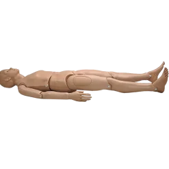 Mannequin pour enseignement des soins infirmiers SIMON® S205