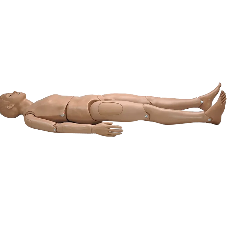 Mannequin pour enseignement des soins infirmiers SIMON® S205