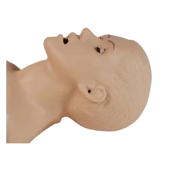 Mannequin pour enseignement des soins infirmiers SIMON® S205